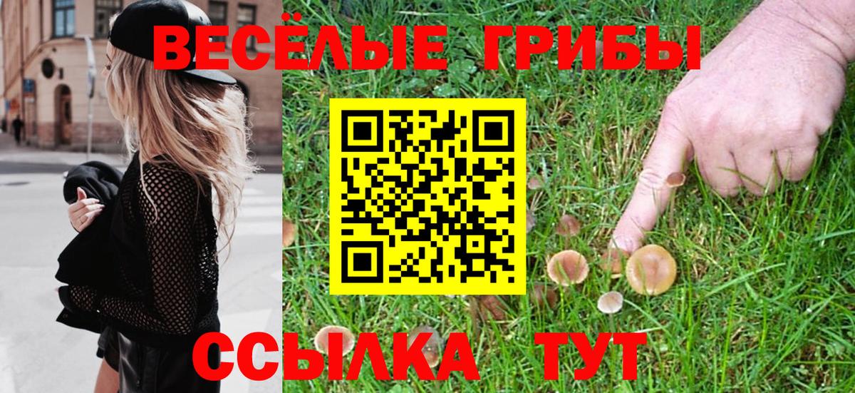 Галлюциногенные грибы Psilocybine cubensis  Вход с VPN  Тольятти 