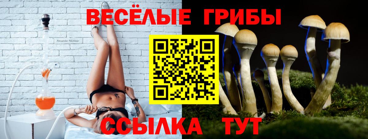 Галлюциногенные грибы GOLDEN TEACHER Тольятти